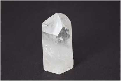 orbitvu|type:image2d