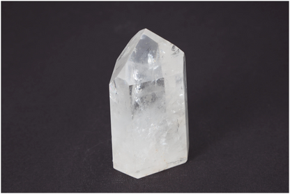 orbitvu|type:image2d