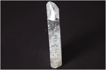 orbitvu|type:image2d