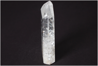 orbitvu|type:image2d