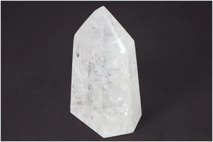 orbitvu|type:image2d