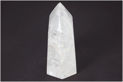 orbitvu|type:image2d