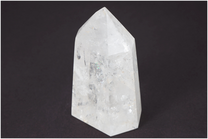 orbitvu|type:image2d