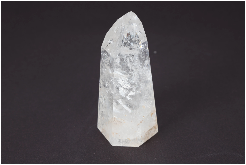 orbitvu|type:image2d