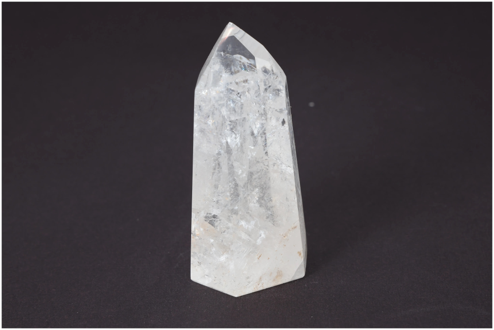 orbitvu|type:image2d