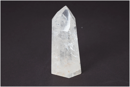 orbitvu|type:image2d