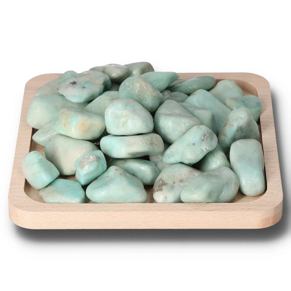 orbitvu|type:image2d