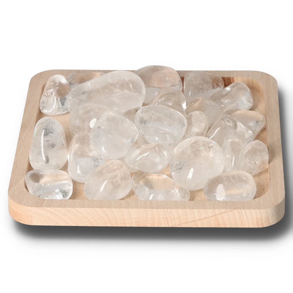 orbitvu|type:image2d