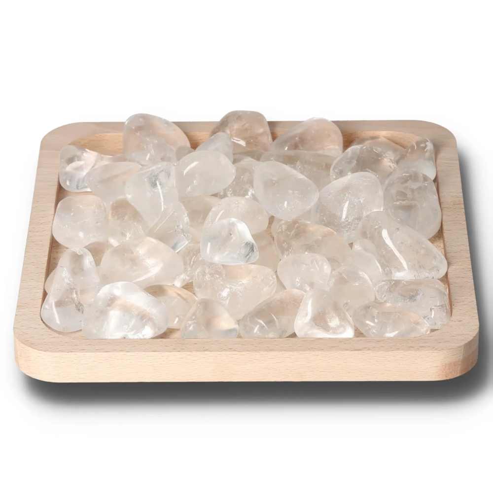 orbitvu|type:image2d