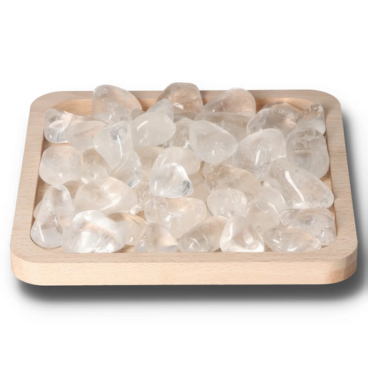 orbitvu|type:image2d