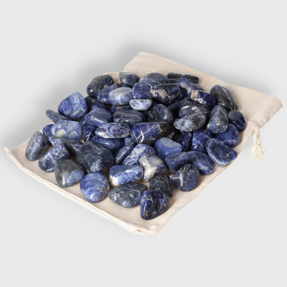 orbitvu|type:image2d