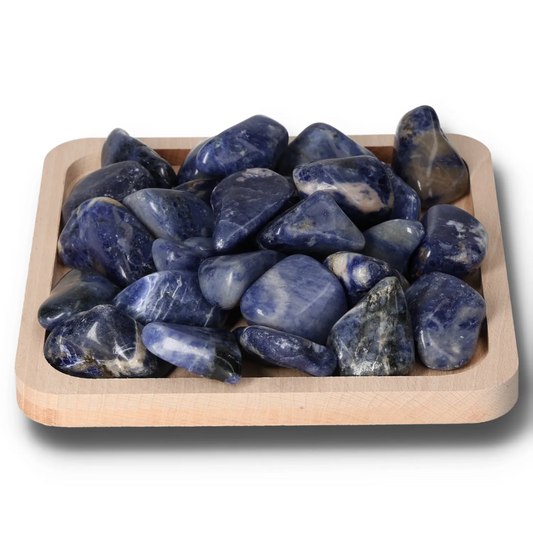 orbitvu|type:image2d