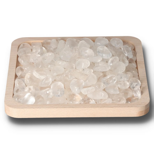 orbitvu|type:image2d