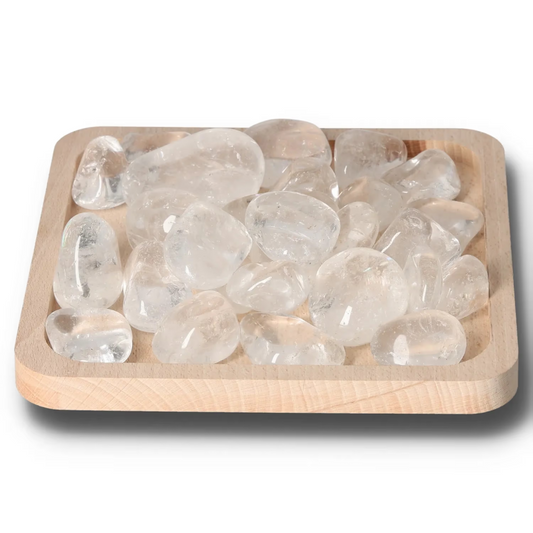 orbitvu|type:image2d