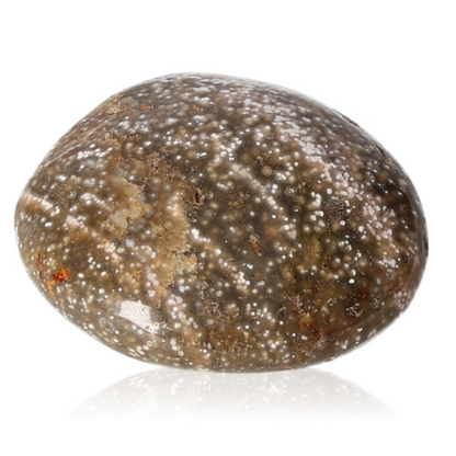 orbitvu|type:ORBITVU 360|https://orbitvu.co/share/e7SFNRUdEJJk7nUeJkvVXV/6316103/360/iframe