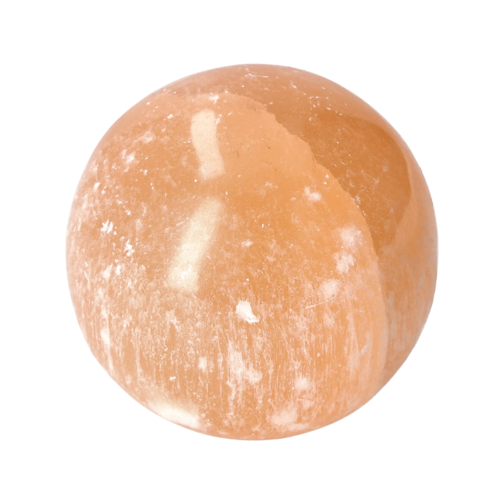 orbitvu|type:image2d