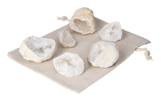 orbitvu|type:image2d