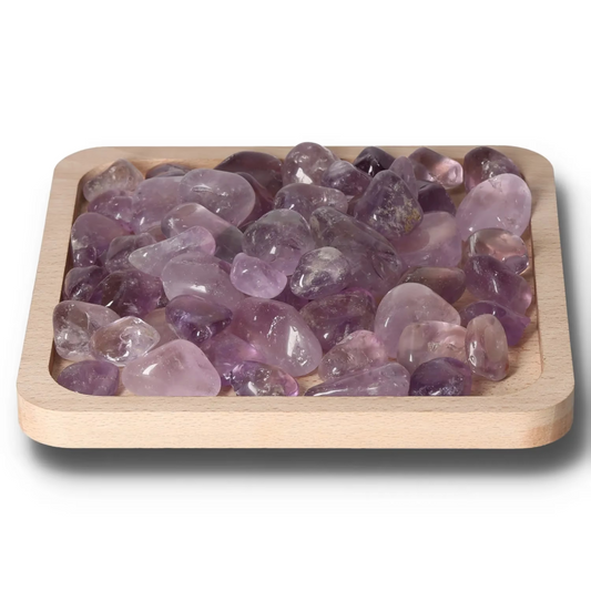 orbitvu|type:image2d