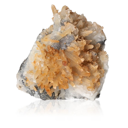 orbitvu|type:ORBITVU 360|https://orbitvu.co/share/EP2cdhqfGUrwtgW288Njjd/6326071/360/iframe