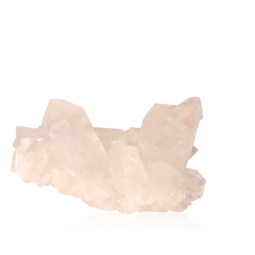 orbitvu|type:ORBITVU 360|https://orbitvu.co/share/JapUvdvsq3eY74TdFbp3YC/6317332/360/iframe