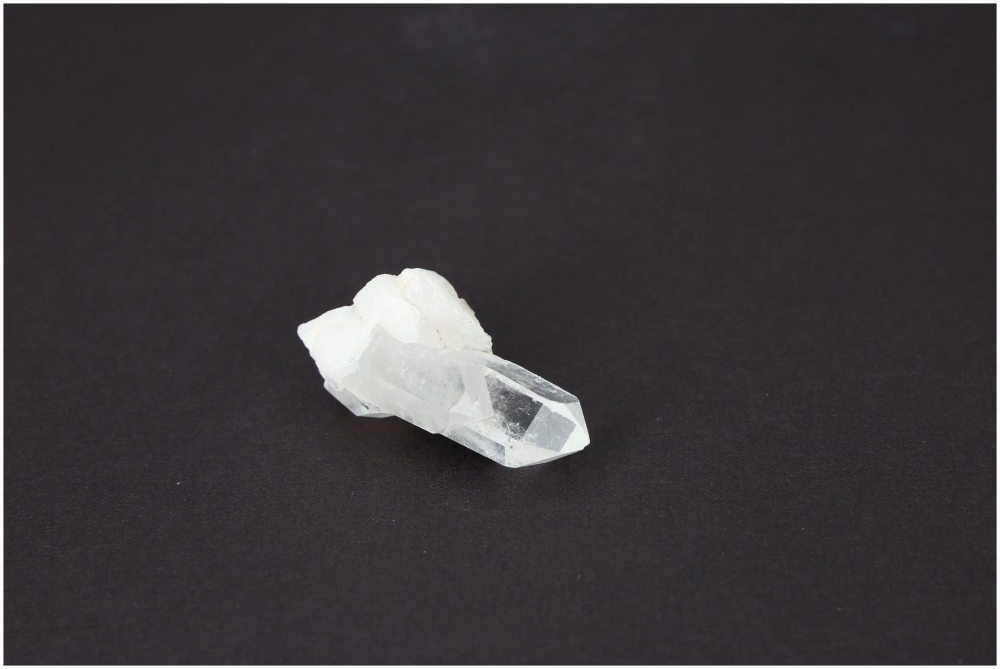 orbitvu|type:image2d