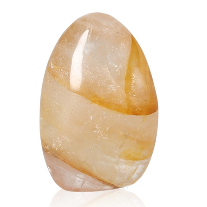 orbitvu|type:ORBITVU 360|https://orbitvu.co/share/GP2U5NoHaixGNC5fUpsDte/6318297/360/iframe