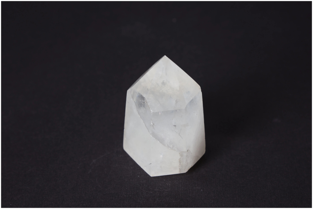 orbitvu|type:image2d