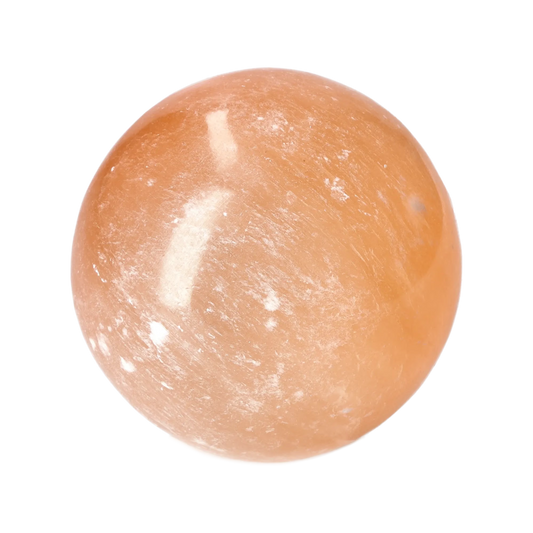orbitvu|type:image2d