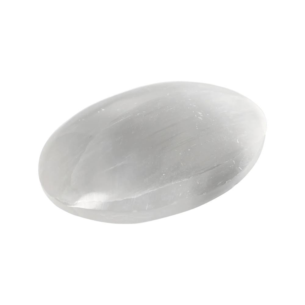 orbitvu|type:image2d