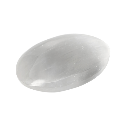orbitvu|type:image2d