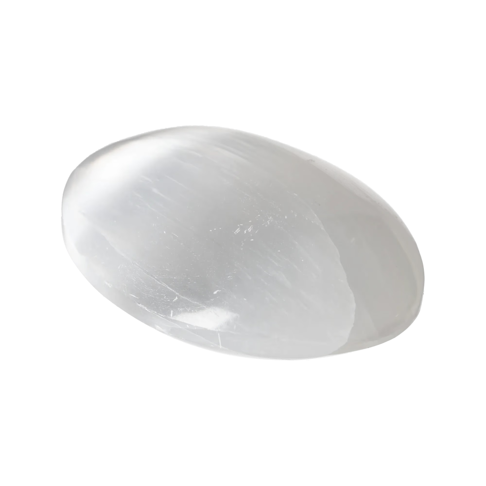 orbitvu|type:image2d