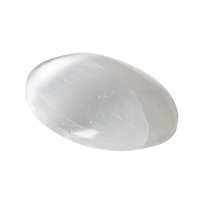 orbitvu|type:image2d