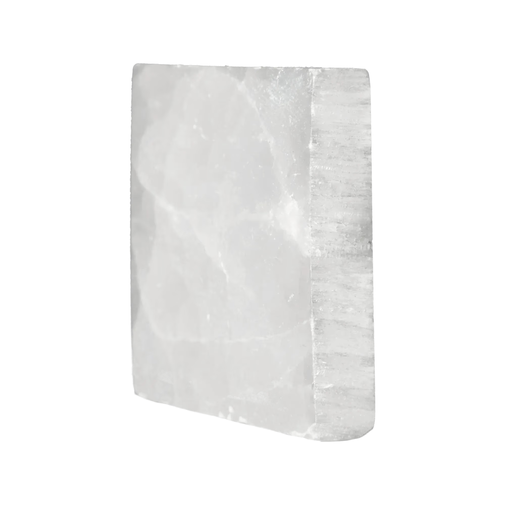 orbitvu|type:image2d