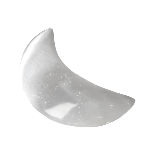 orbitvu|type:image2d