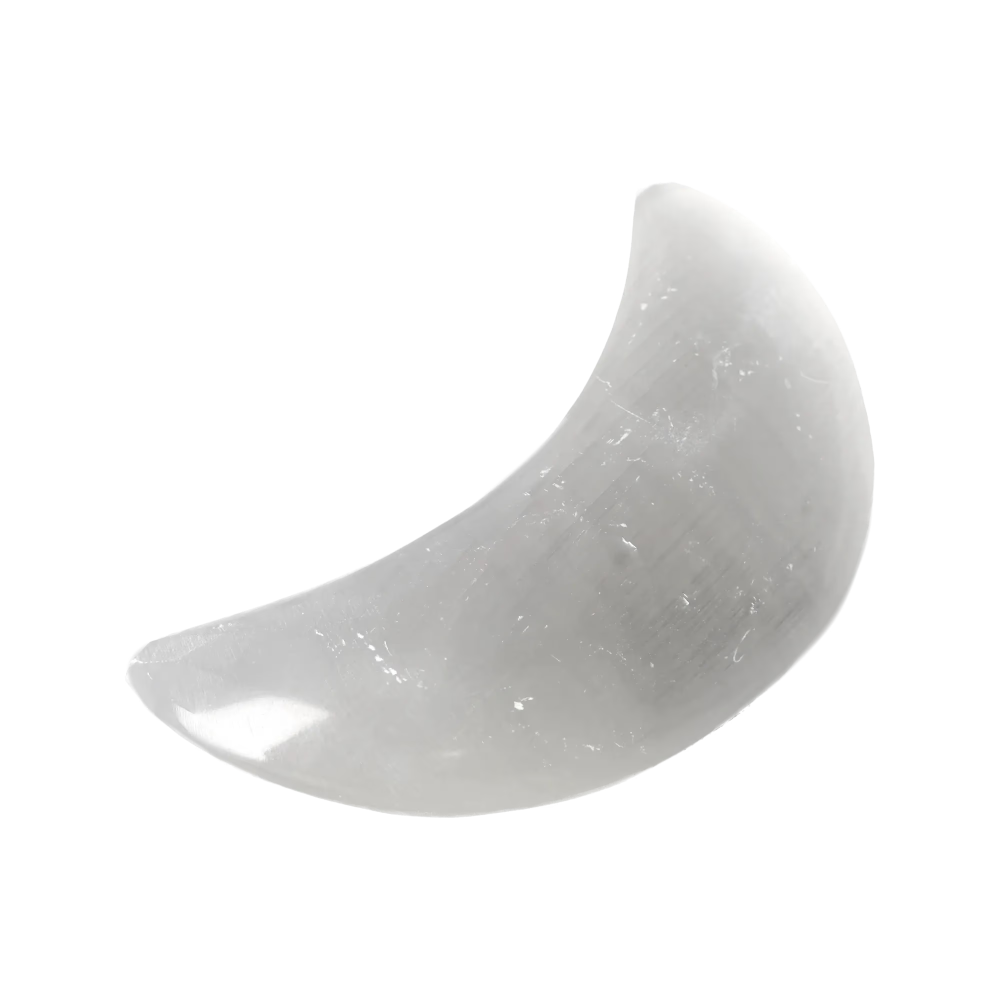 orbitvu|type:image2d