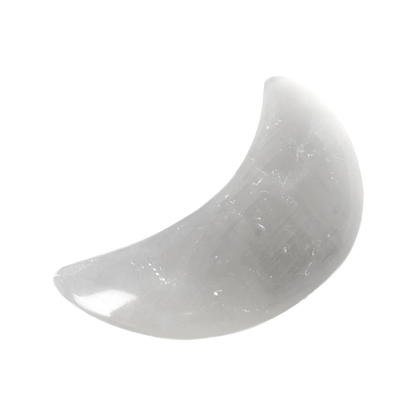 orbitvu|type:image2d