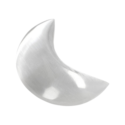 orbitvu|type:image2d