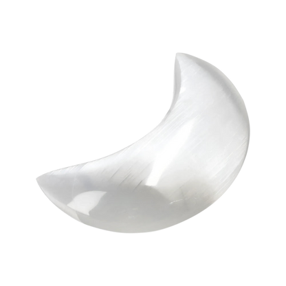 orbitvu|type:image2d