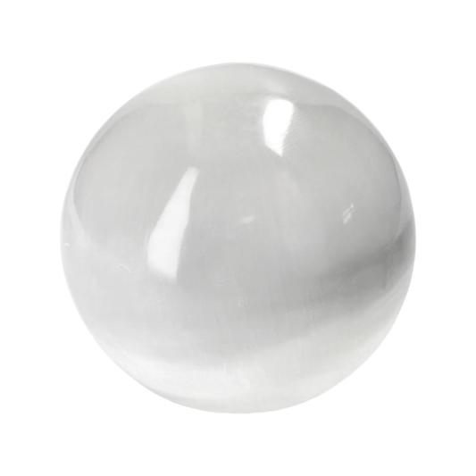 orbitvu|type:image2d