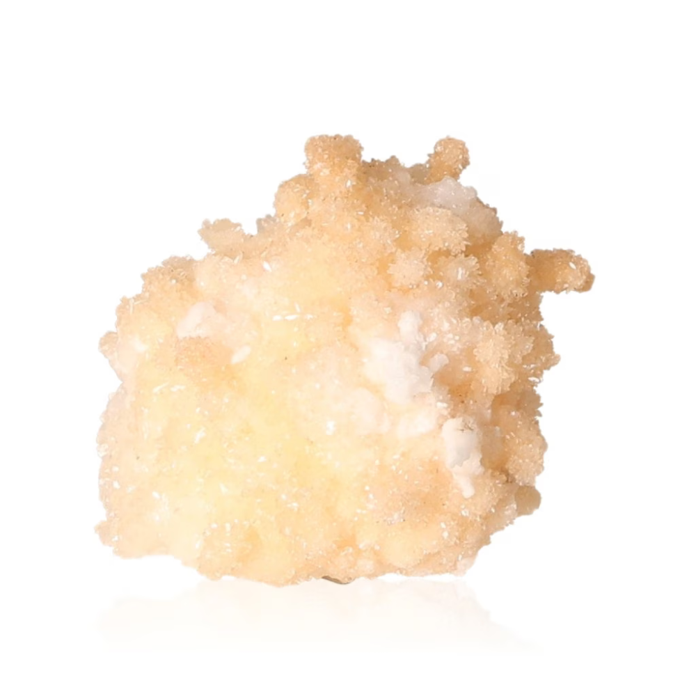 orbitvu|type:ORBITVU 360|https://orbitvu.co/share/6DDQhPbNCTFGLG3BntYFuC/6389952/360/iframe