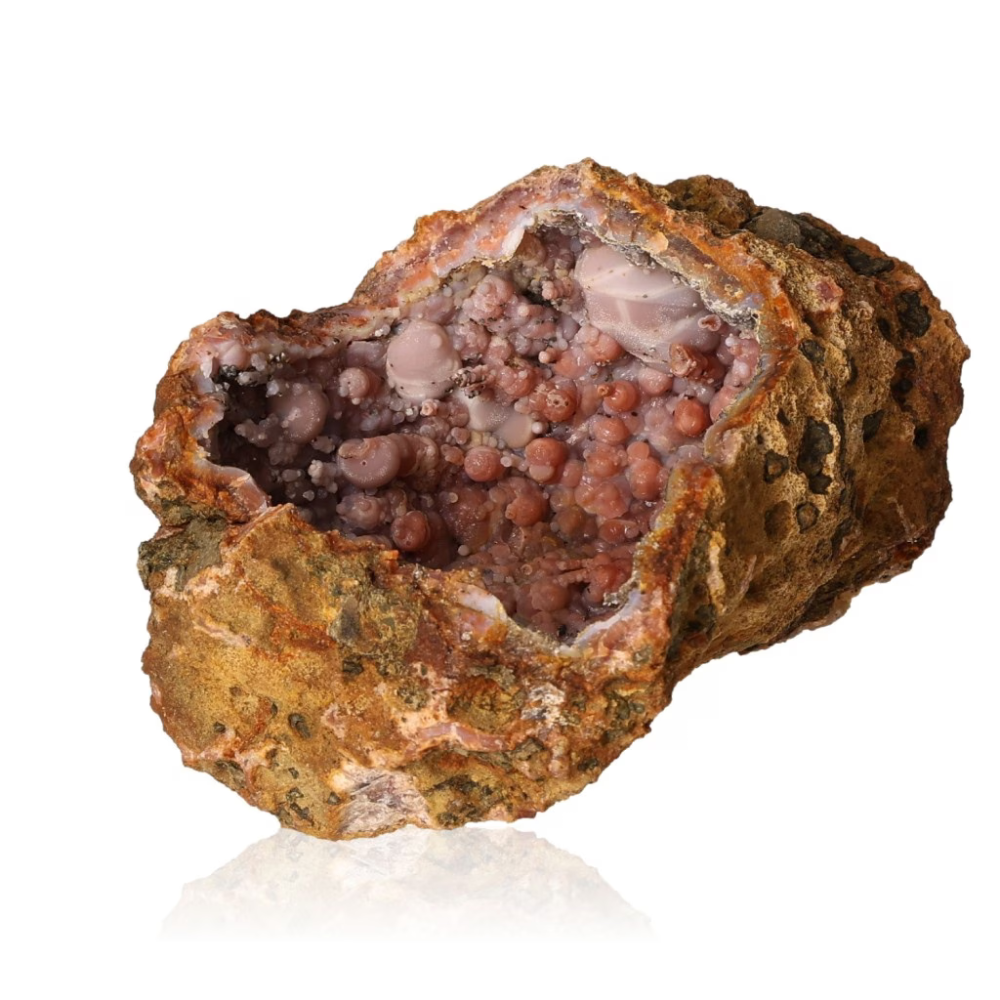 orbitvu|type:ORBITVU 360|https://orbitvu.co/share/3TSd9rnfUhJDv9gBeoKKwZ/6392513/360/iframe