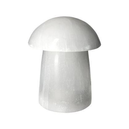 orbitvu|type:image2d