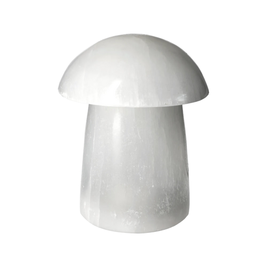 orbitvu|type:image2d