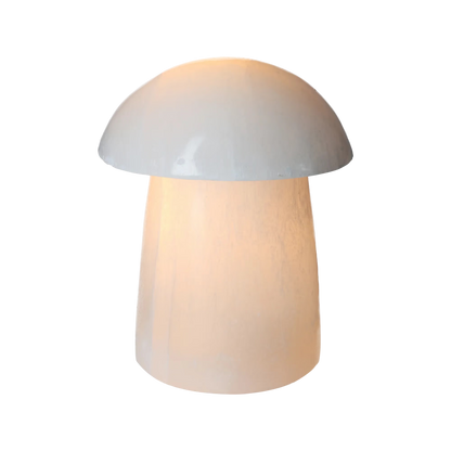 orbitvu|type:image2d