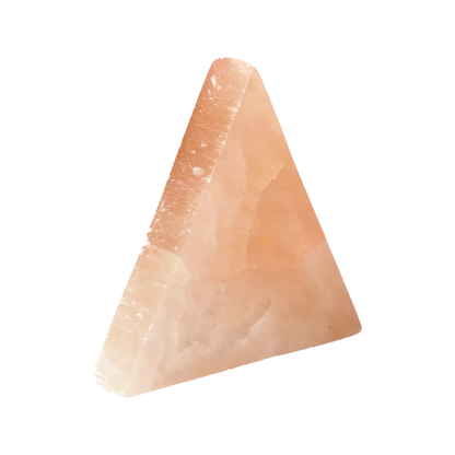 orbitvu|type:image2d