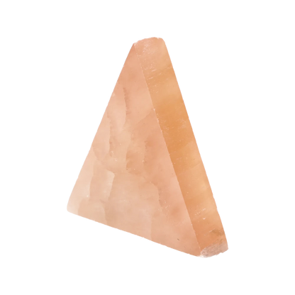 orbitvu|type:image2d