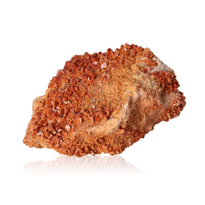 orbitvu|type:ORBITVU 360|https://orbitvu.co/share/4yhPUYJkLhF93eDKkAgVFh/6414799/360/iframe