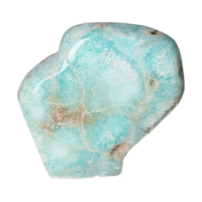 orbitvu|type:ORBITVU 360|https://orbitvu.co/share/Ft5k4tvXTqVFRjYdDuUjUe/6474080/360/iframe