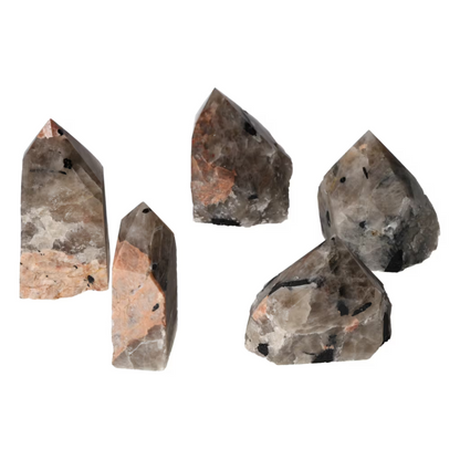 orbitvu|type:ORBITVU 360|https://orbitvu.co/share/JHAq2Zbrdqg7VCudUtp9MT/6513325/360/iframe