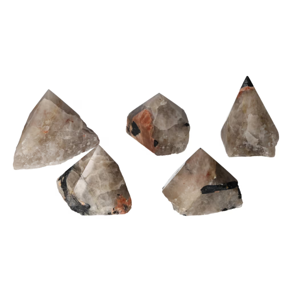 orbitvu|type:ORBITVU 360|https://orbitvu.co/share/36jfSmshxfLESsvD8wqRJ5/6513343/360/iframe